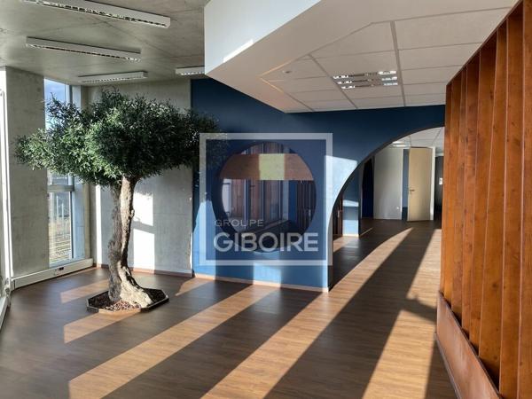 Bureaux - A LOUER - ANGERS (réf : 49.017281)