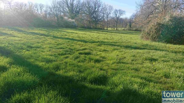 Terrain à batir
