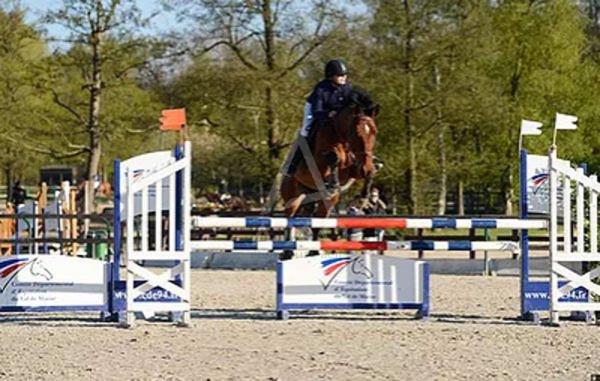 UN DOMAINE ÉQUESTRE RARE EN FORÊT D'ÎLE-DE-FRANCE