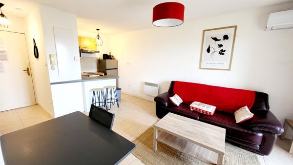 BEL APPARTEMENT MEUBLE ET CLIMATISE AVEC TERRASSE CARCASSONNE