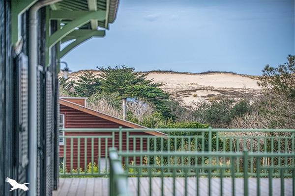 Appartement à vendre |                                       Lège-Cap-Ferret |                                        4 pièces  |  95,6 m²