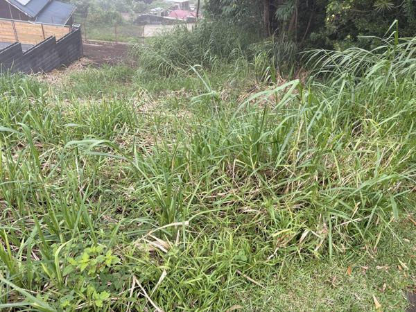 Terrain vue mer petite île