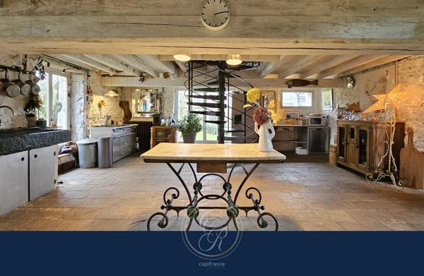 Maison de caractère en bord de Loire 7 pièces BEHUARD (49)