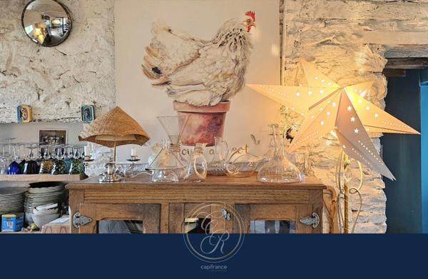 Maison de caractère en bord de Loire 7 pièces BEHUARD (49)