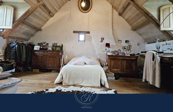 Maison de caractère en bord de Loire 7 pièces BEHUARD (49)