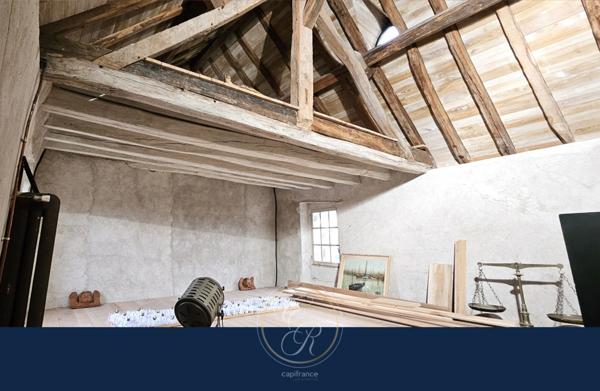 Maison de caractère en bord de Loire 7 pièces BEHUARD (49)