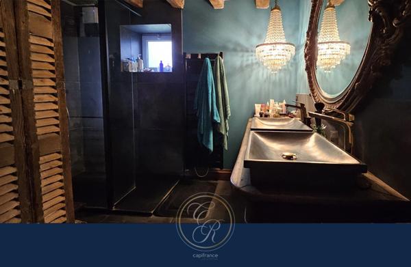 Maison de caractère en bord de Loire 7 pièces BEHUARD (49)