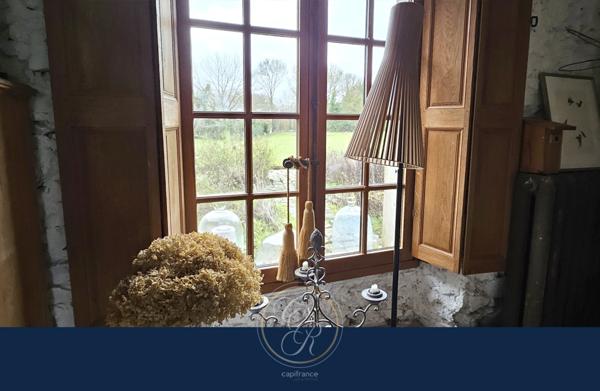 Maison de caractère en bord de Loire 7 pièces BEHUARD (49)