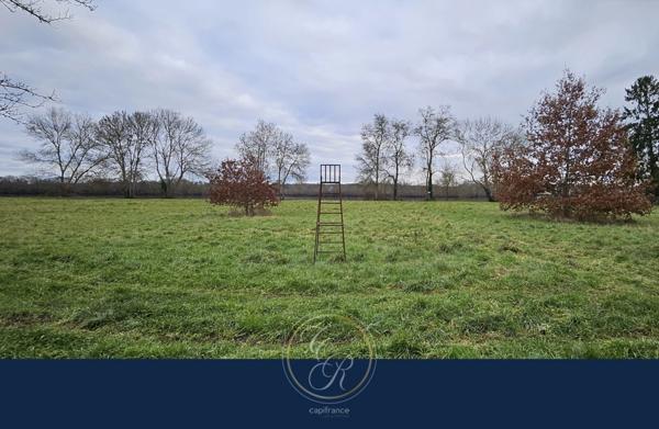 Maison de caractère en bord de Loire 7 pièces BEHUARD (49)