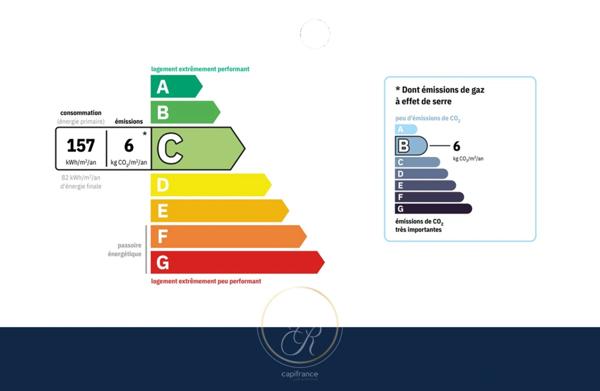 Maison de caractère en bord de Loire 7 pièces BEHUARD (49)