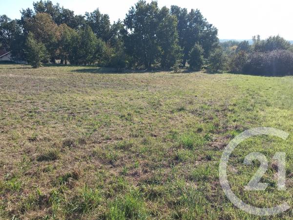 Terrain à vendre  1424 m2 GRAULHET - 81