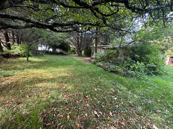 Belle Propriété au coeur des bois