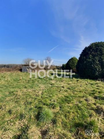 Terrain d'agrément avec dépendances