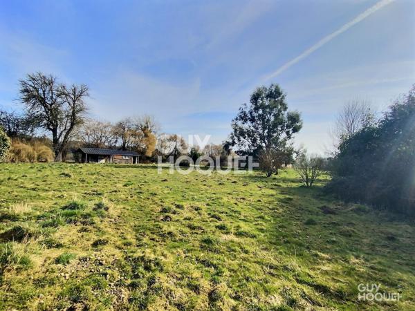 Terrain d'agrément avec dépendances