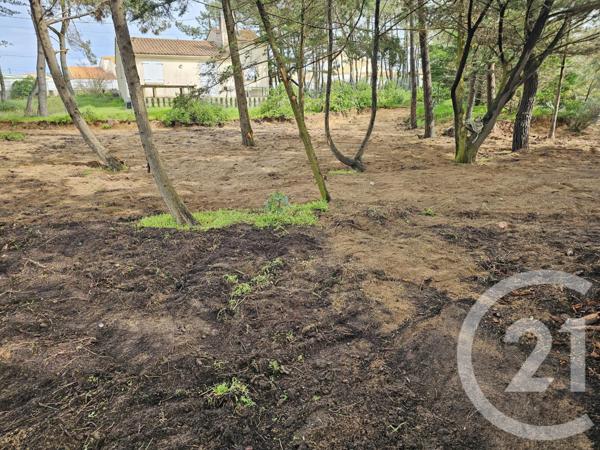 Terrain à vendre  781 m2 BRETIGNOLLES SUR MER - 85