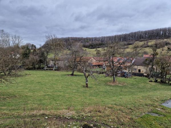Dpt Vosges (88), à vendre secteur VITTEL de village T7 de 324 m2 + HANGAR / 1500 m2 TERRAIN