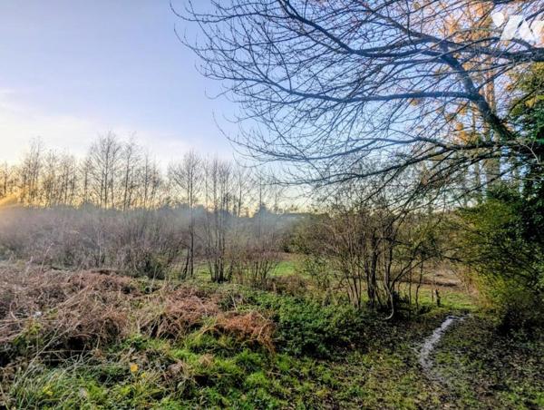 A VENDRE : à la campagne : Maison  d'architecte - 4 chambres - terrain de 6 800 m2