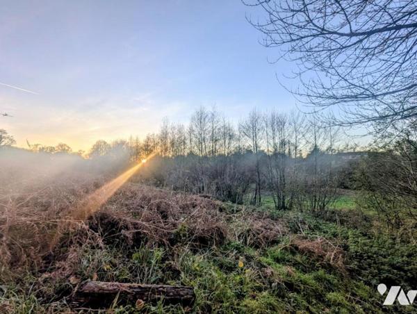 A VENDRE : à la campagne : Maison  d'architecte - 4 chambres - terrain de 6 800 m2