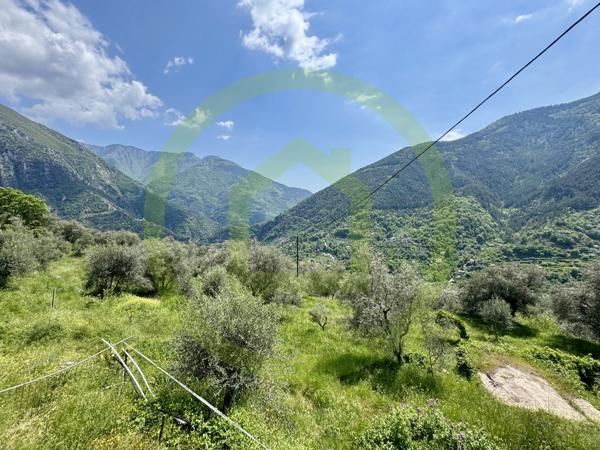 Appartement à BREIL SUR ROYA (06540)