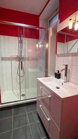 Maison de charme A VENDRE MENNETOU SUR CHER - actuellement Gîte