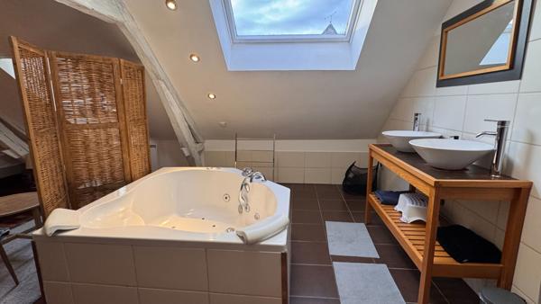 Maison de charme A VENDRE MENNETOU SUR CHER - actuellement Gîte