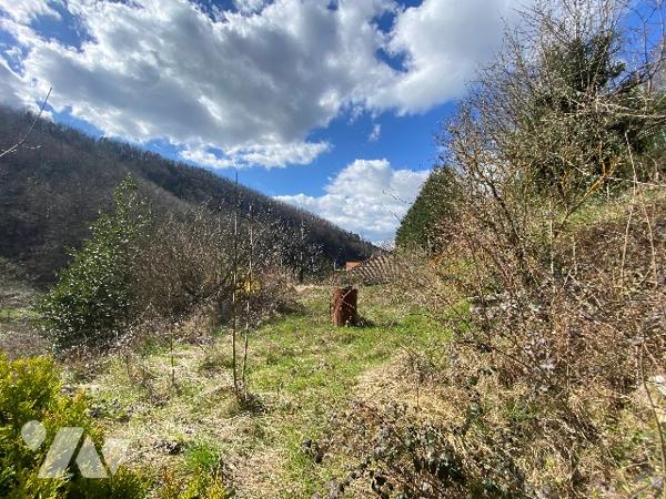Amoureux de la nature, maison de 50m² plus sous-sol, terrain de 534m²