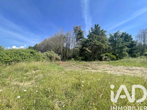 Terrain à vendre 990 m² L'Île-d'Olonne