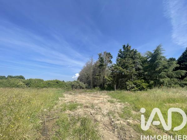 Terrain à vendre 990 m² L'Île-d'Olonne