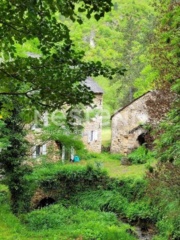 Propriété En Pierre Avec Ses Dépendances