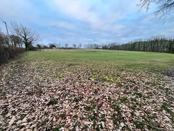 Achat terrain Caylus - 2000 m² - 56 500 €