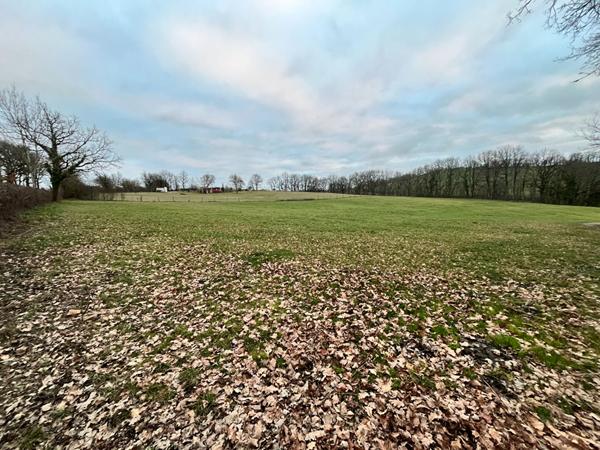 Achat terrain Caylus - 2000 m² - 56 500 €