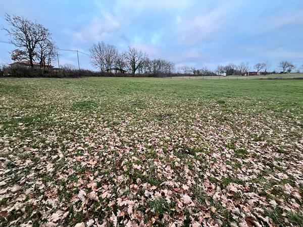 Achat terrain Caylus - 2000 m² - 56 500 €