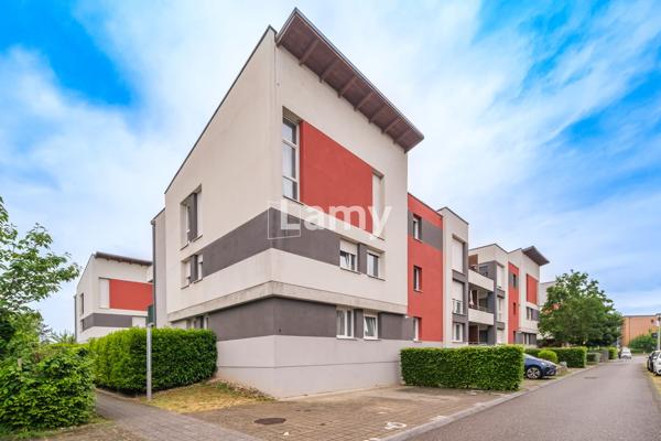 T3 terasse et annexes