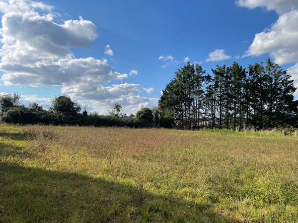 Terrain à bâtir de 1 979 m²