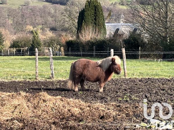 Maison à vendre 7 pièces 110 m² Pont-l'Évêque