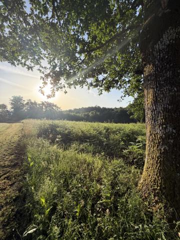 Terrain
        
        - 2122 m² Exclusivité