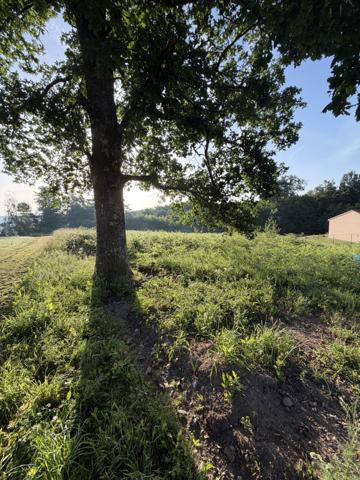 Terrain
        
        - 2122 m² Exclusivité
