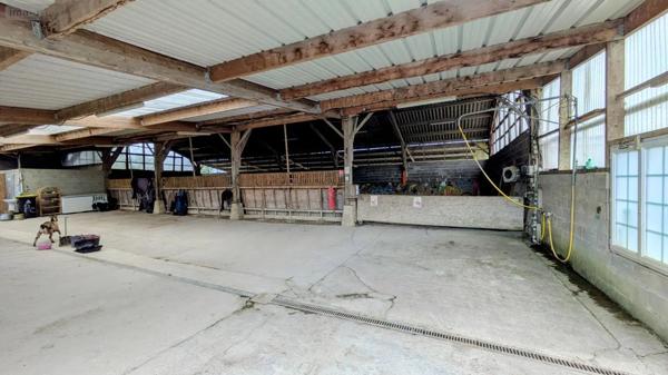 Achat - Maison Sainte-Colombe 50390 11 pièces 304 m 2 85652 m 2