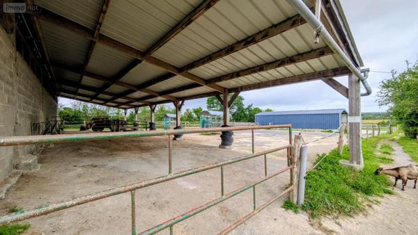 Achat - Maison Sainte-Colombe 50390 11 pièces 304 m 2 85652 m 2