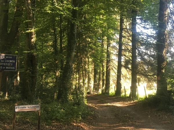 Demeure exceptionnelle du 19 siecles de 600 m² avec ascenseur privé, piscine chauffée et parc de 2 hectares