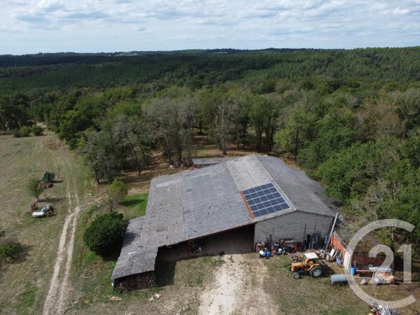 Maison à vendre  13 pièces - 343,80 m2 ST PIERRE D EYRAUD - 24