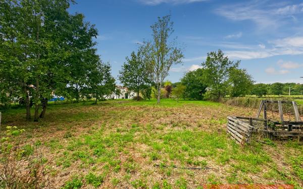 Terrain à vendre    Gaillac