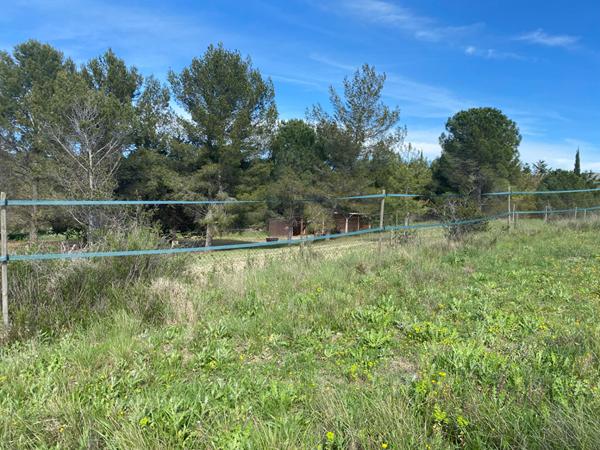 Villa à Poussan - Proche litorral - 5 hectares de terrain