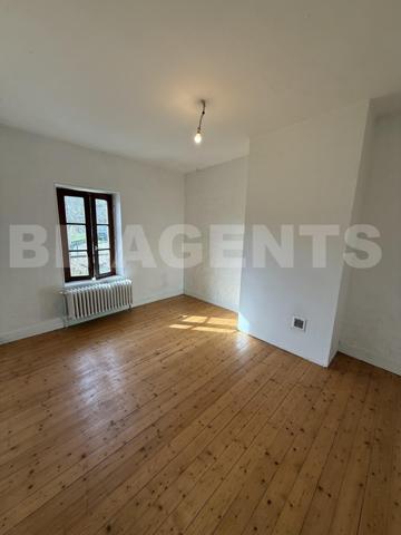 BELLE BRIARDE A RENOVER