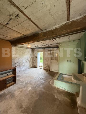 BELLE BRIARDE A RENOVER