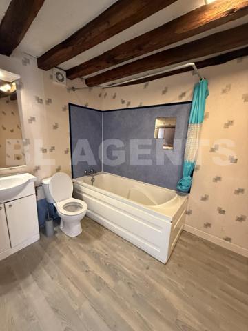 BELLE BRIARDE A RENOVER