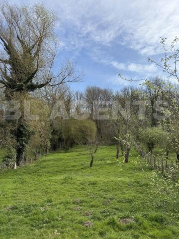 BELLE BRIARDE A RENOVER