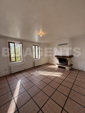 BELLE BRIARDE A RENOVER