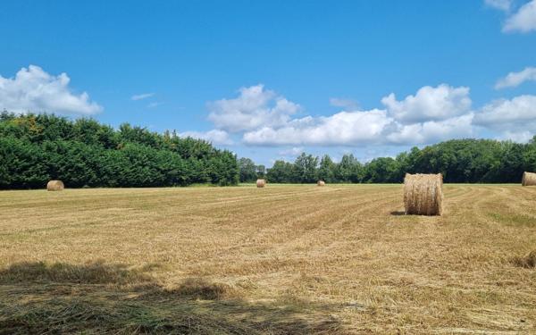 Terrain à vendre    Guer