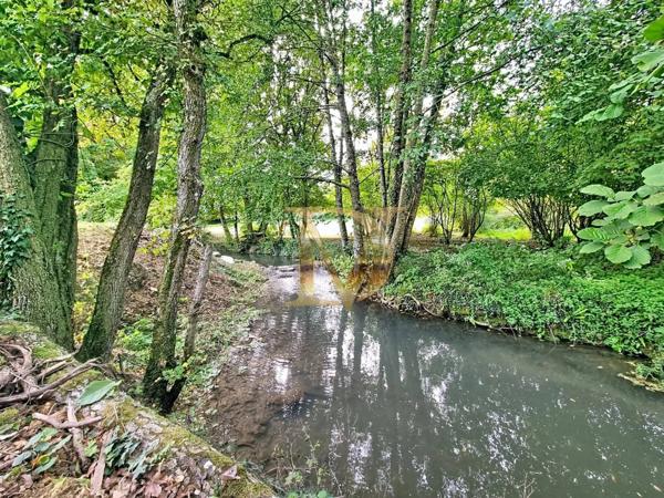 Saint-Georges-sur-Cher – Longère Authentique & Contemporaine